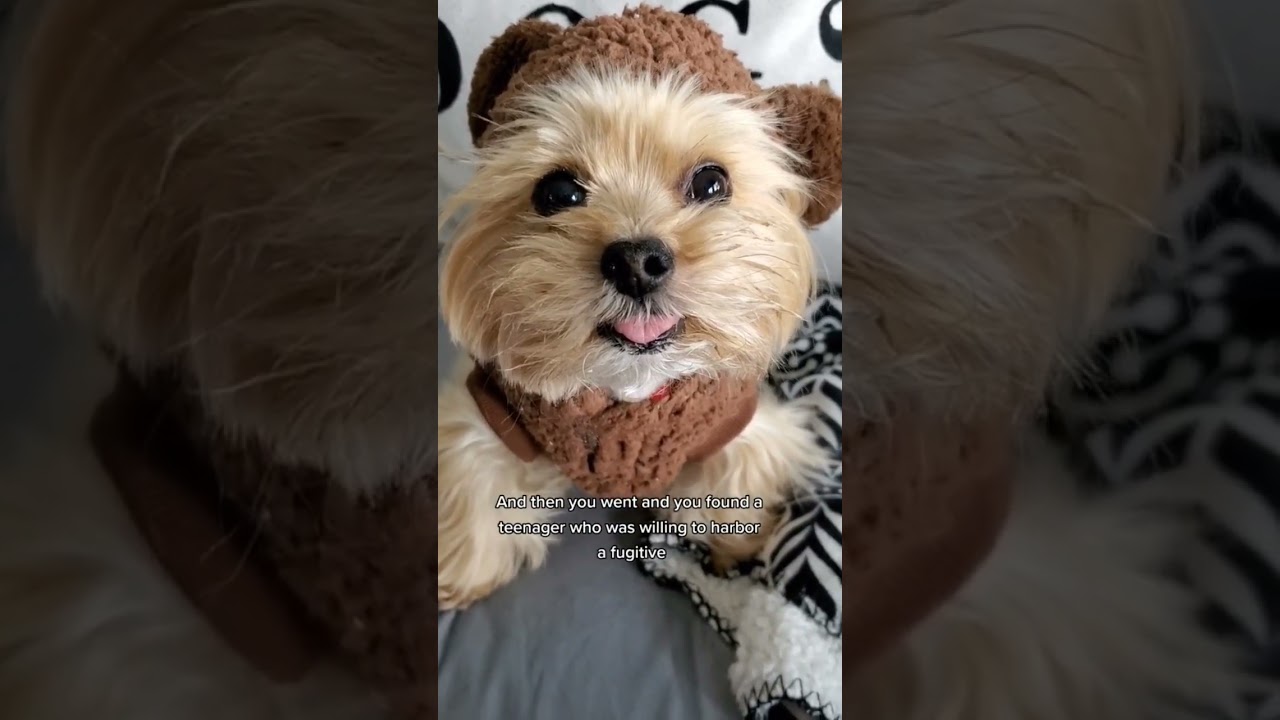 Stuntman Mike has an accident 