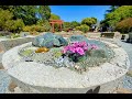 Alpine Rock Garden