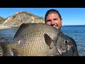 It's Winter, Choose Wisely - ICE Fishing or BEACH Fishing!?