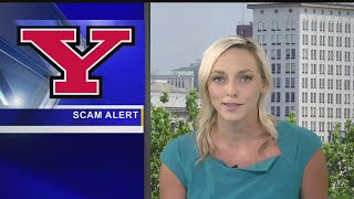 YSU issues Penguin Alert against possible fraud on campus
