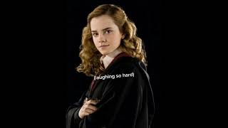 Hermione told a riddle to y/n but something happened!