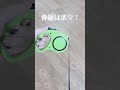 【TOAmart】犬用伸縮リード3M/5M 商品紹介