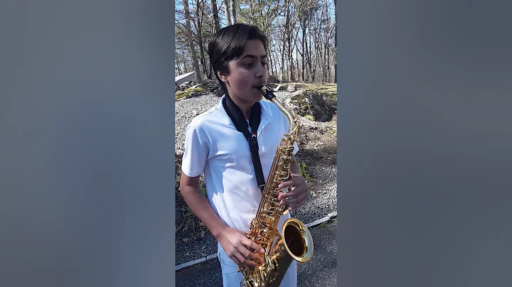 Havana Saxophone Cover