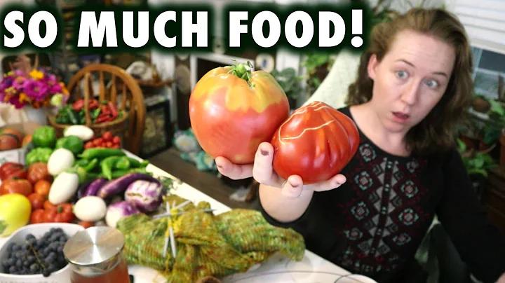 MASSIVE farm garden harvest! What will I do with all this food?! (also, come knit & chat) | LML