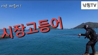 [ 찌낚시 채비 ] 갯바위낚시 짜릿한 손맛 !!! 시장고등어채비 / 반유동 찌낚시 채비법.