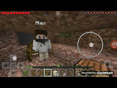 Minecraft cu Sebi si Alex