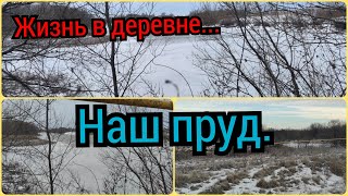 Жизнь в деревне.Состояние пруда,после спуска воды.