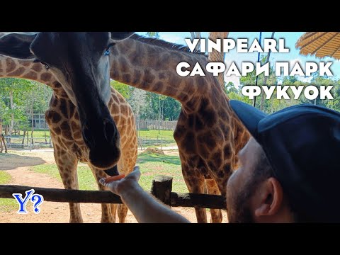 Vinpearl Safari / Шикарный сафари-парк на Фукуоке