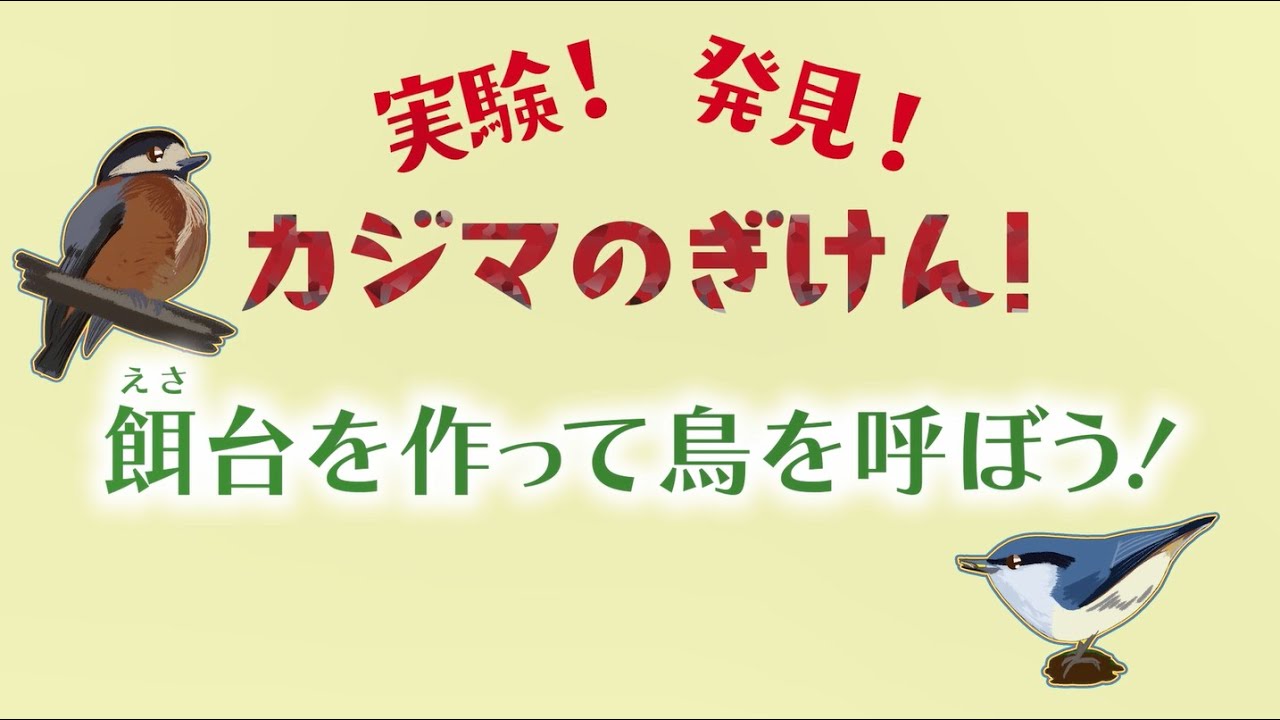 餌(えさ)台を作って鳥を呼ぼう！ - YouTube