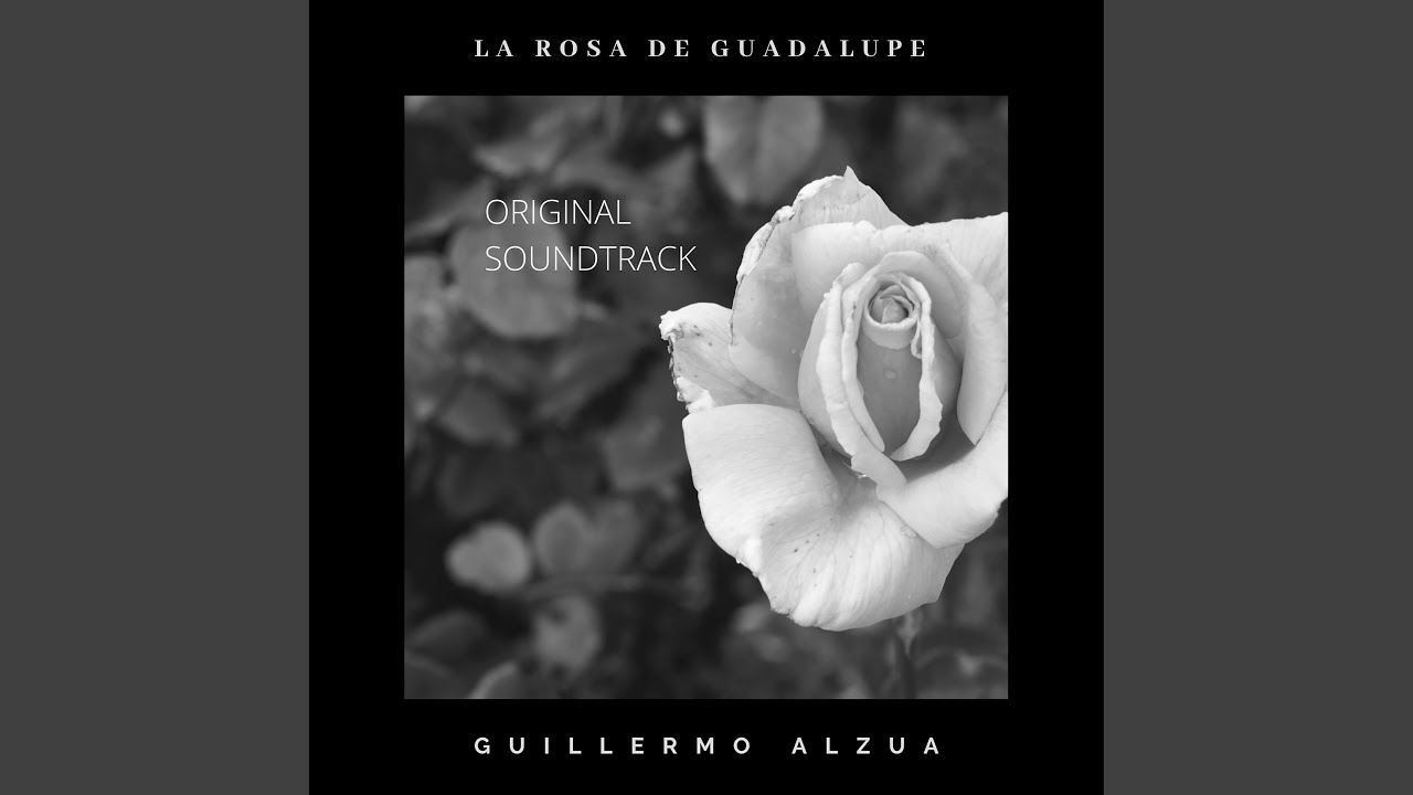 Watch Wonder on YouTube Watch Wonder on YouTube