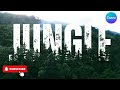Jungle Text Effect in Canva | Creative Typography Design 🌿🌲