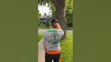 Prevent Tree Disasters Before They Happen | SE Michigan Tree Experts