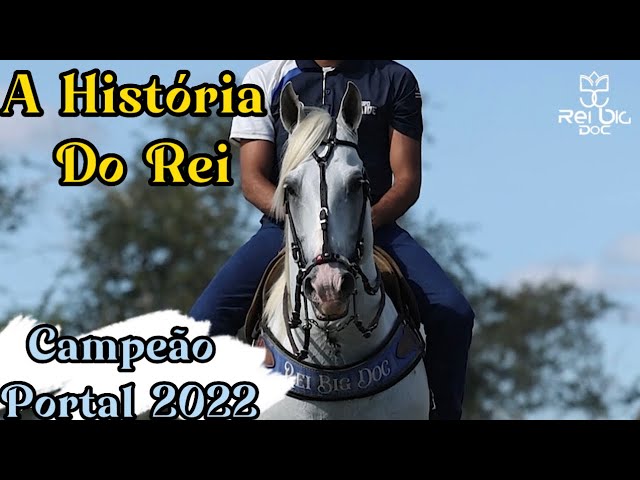 Portal Vaquejada - REI BIG DOC é campeão antecipado do CPV 2022 e entra  para a história como um dos mais competitivos cavalos de puxar na vaquejada.