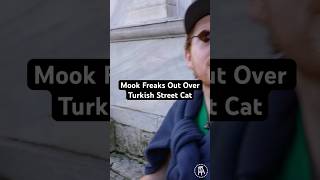 Mook freaks out after petting a street cat in Turkey #turkey #istanbul #catvideos