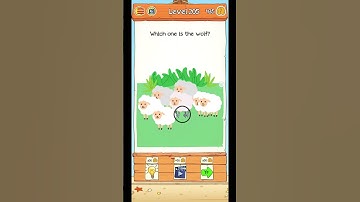 Braindom 2 Riddle Gameplay Level 205