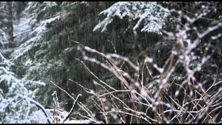 Falling Snow Ident