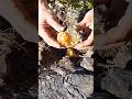 Powerful Natural Gold Crystals from Nature