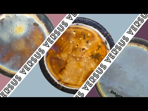 Sound Creation Earth Style Gongs | Comparing Paiste, Tone of Life & Gongland | Gongs Unlimited