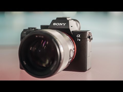 Sony A7III Review | Nothing Comes Close