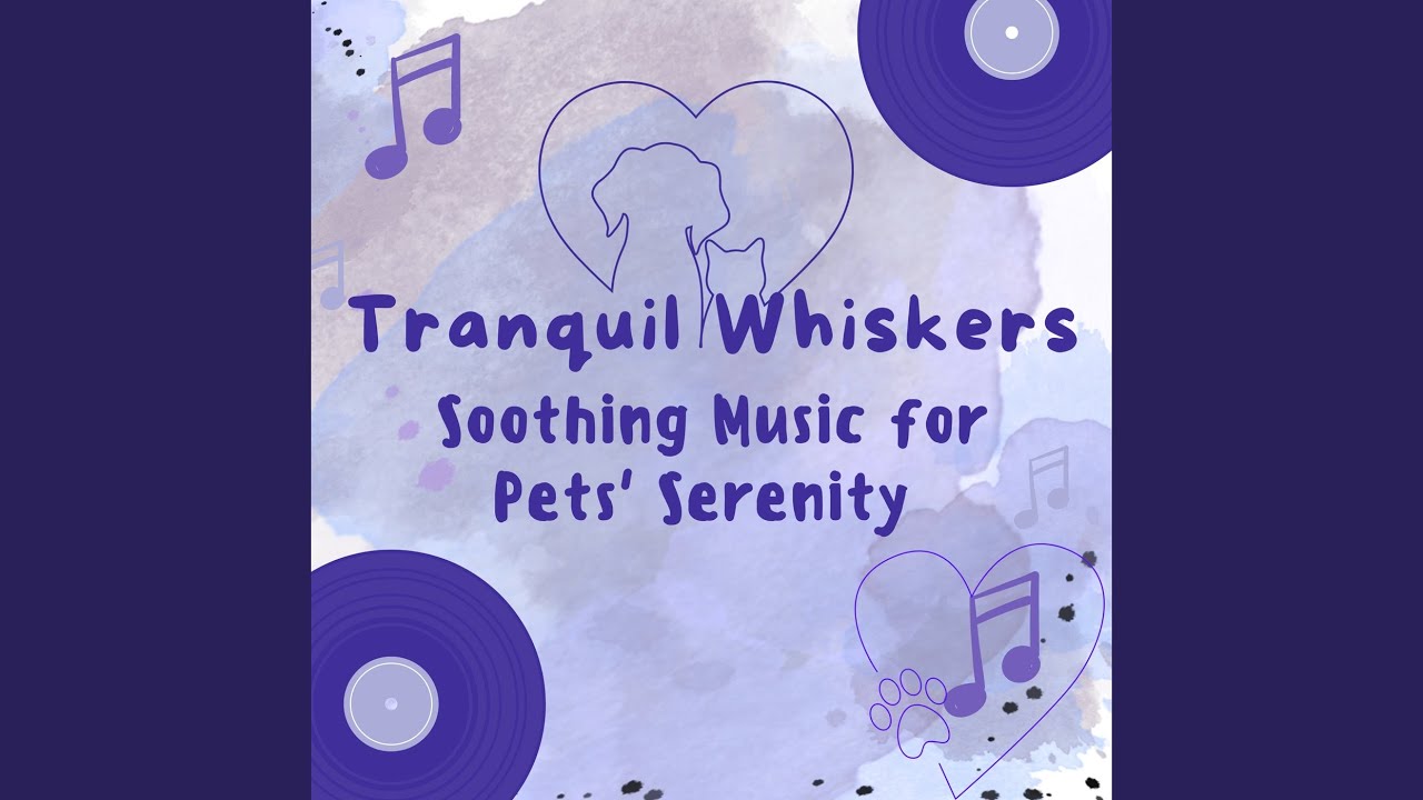 Music for Calm Cat Naps