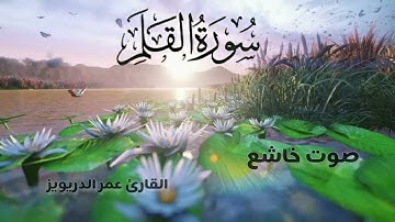 سورة القلم...@OmarAlDarweez