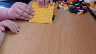 Visuele geheue