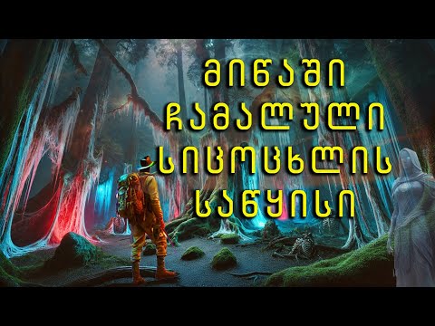 \"უცხოების\" იდუმალი ცხოვრება. Аliens among us.