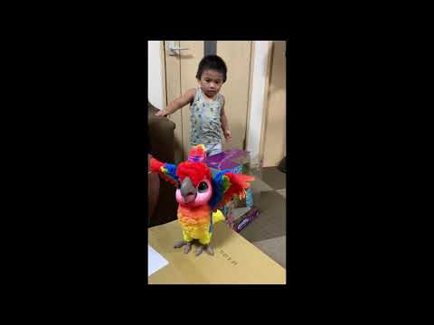 FurReal Rockatoo Showbird