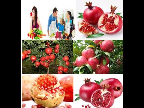 Video CONG DUNG CUA QUA LUU - youtube
