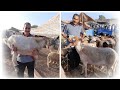 اجي تشوف اثمنة الحولي من سوق الثلاث انزكان (اكادير) جولة في رحبة 🐏🐑