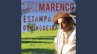 Video thumbnail of "Luiz Marenco - De Volta de uma Tropeada"