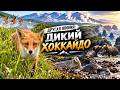 Хоккайдо. Там, где заканчивается Япония