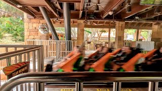 Tigris Roller Coaster Front Seat POV | Busch Gardens Tampa
