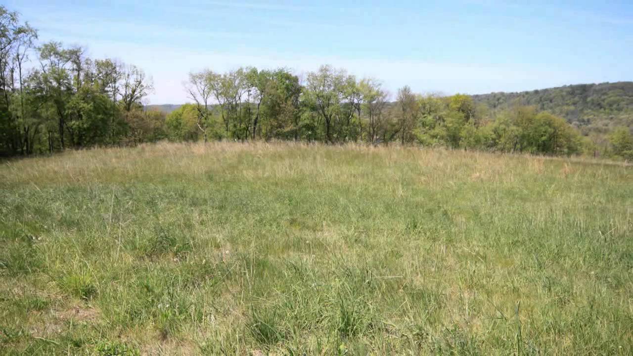 Homes For Sale Near Winchester, VA Bristol Springs New Homes For Sale Near Winchester