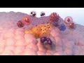 Immunotherapy: How the Immune System Fights Cancer