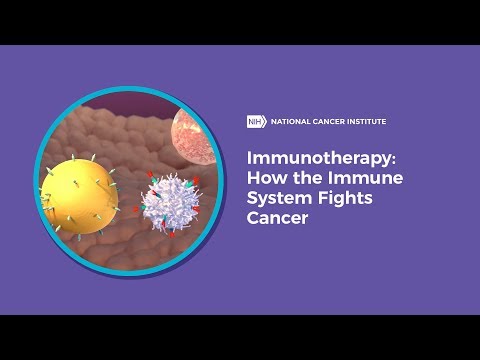 वीडियो: सीएआर-टी लिम्फोसाइट डिप्लेशन से निपटना कैंसर इम्यूनोथेरेपी को बढ़ावा देता है
