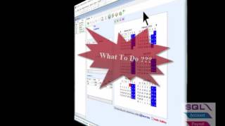 SQL Payroll 09How To Fully Display 12months In Leave Application