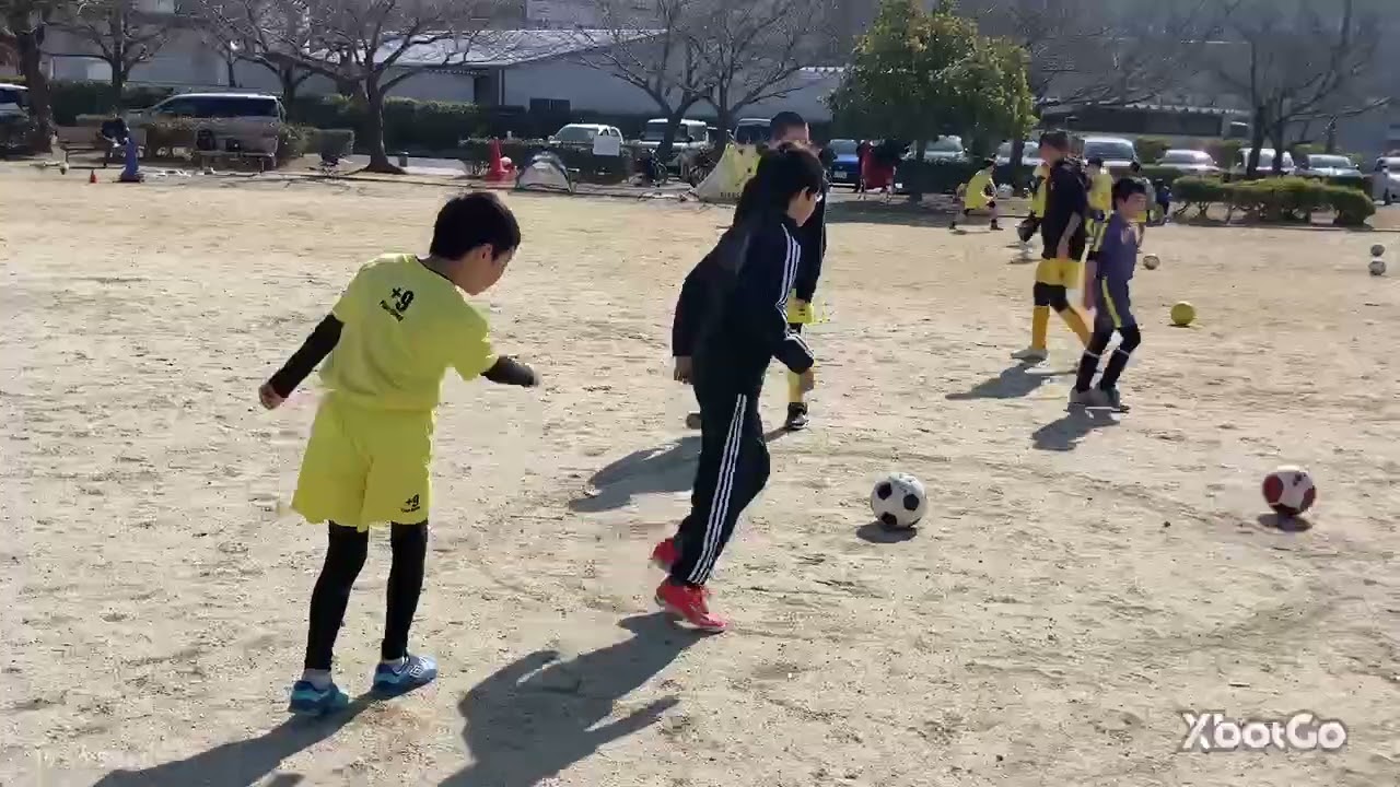 ボール当て　土曜篠目スクール成長記録　20260214