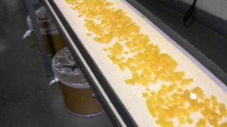 Palmetto Adhesives Company