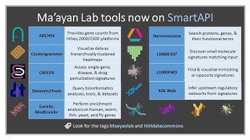 Standard API to Enable Semantic Integration of the Tools Developed by the Ma’ayan Lab