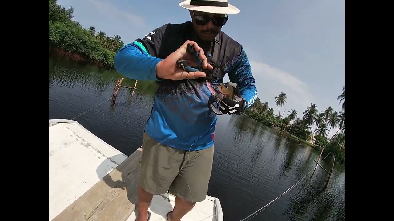 Peche Au Lancer Session Lagune Mangrove  Carpe Rouge No Release No Glory