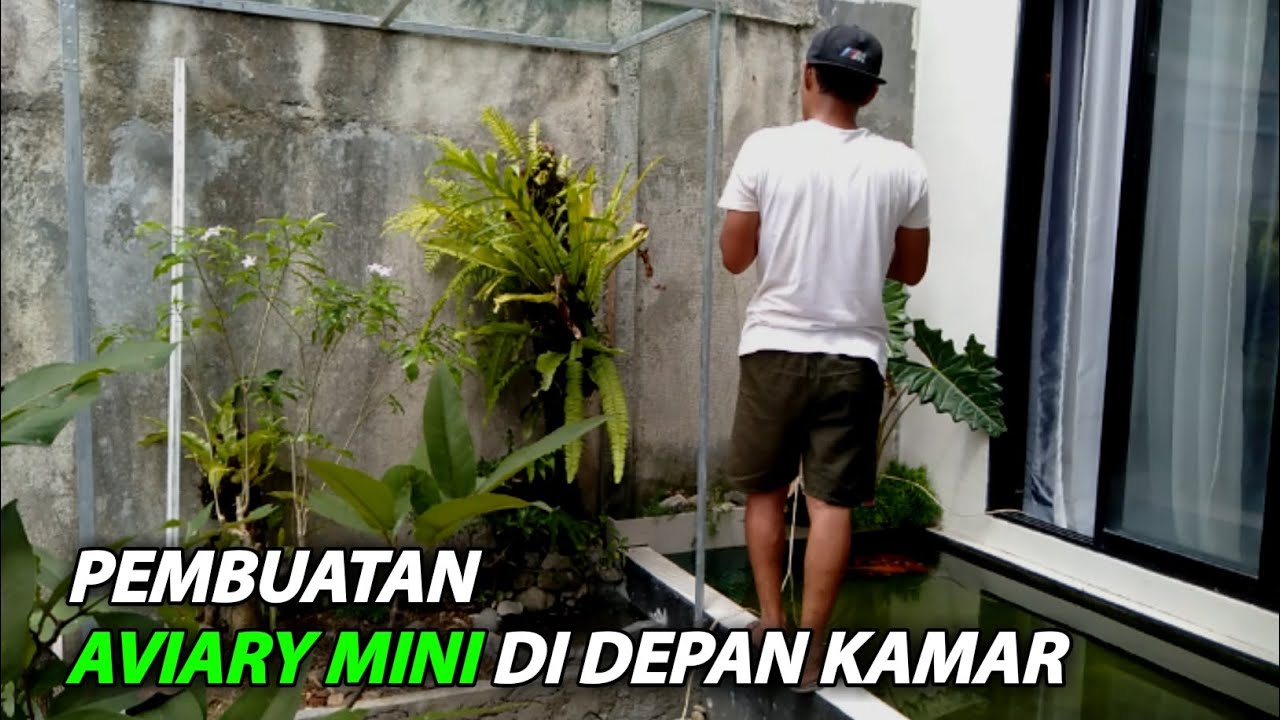 Proses Pembuatan Aviary Mini Di Depan Kamar