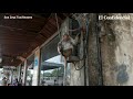 Los animales toman las ciudades en cuarentena de Madrid a San Francisco