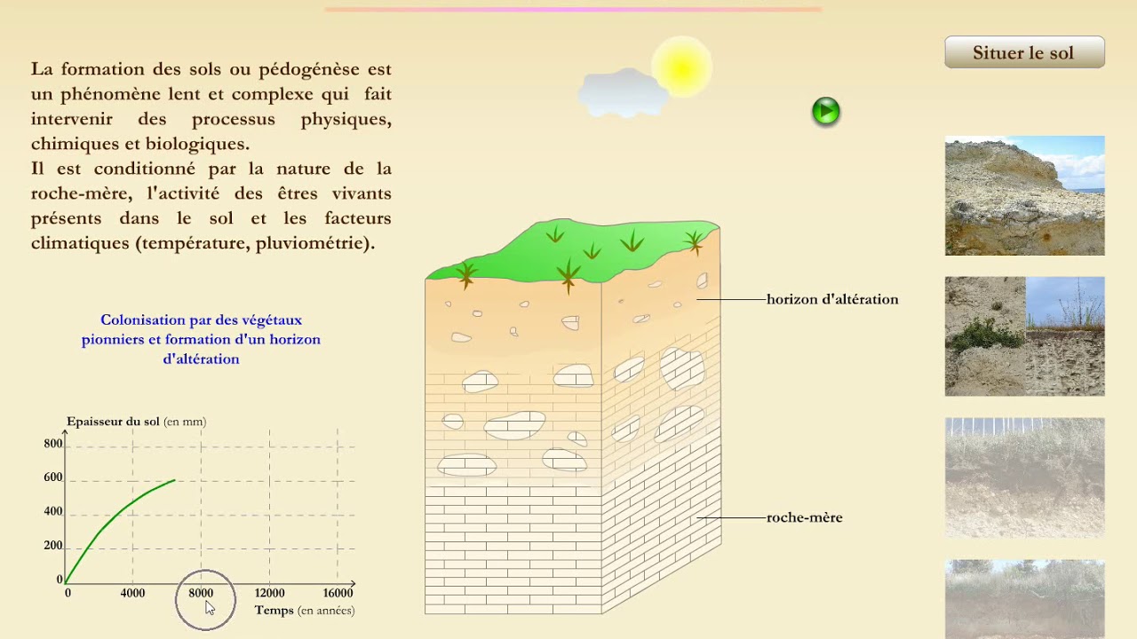Les différentes étapes de la pédogenèse (formation d'un sol) - YouTube