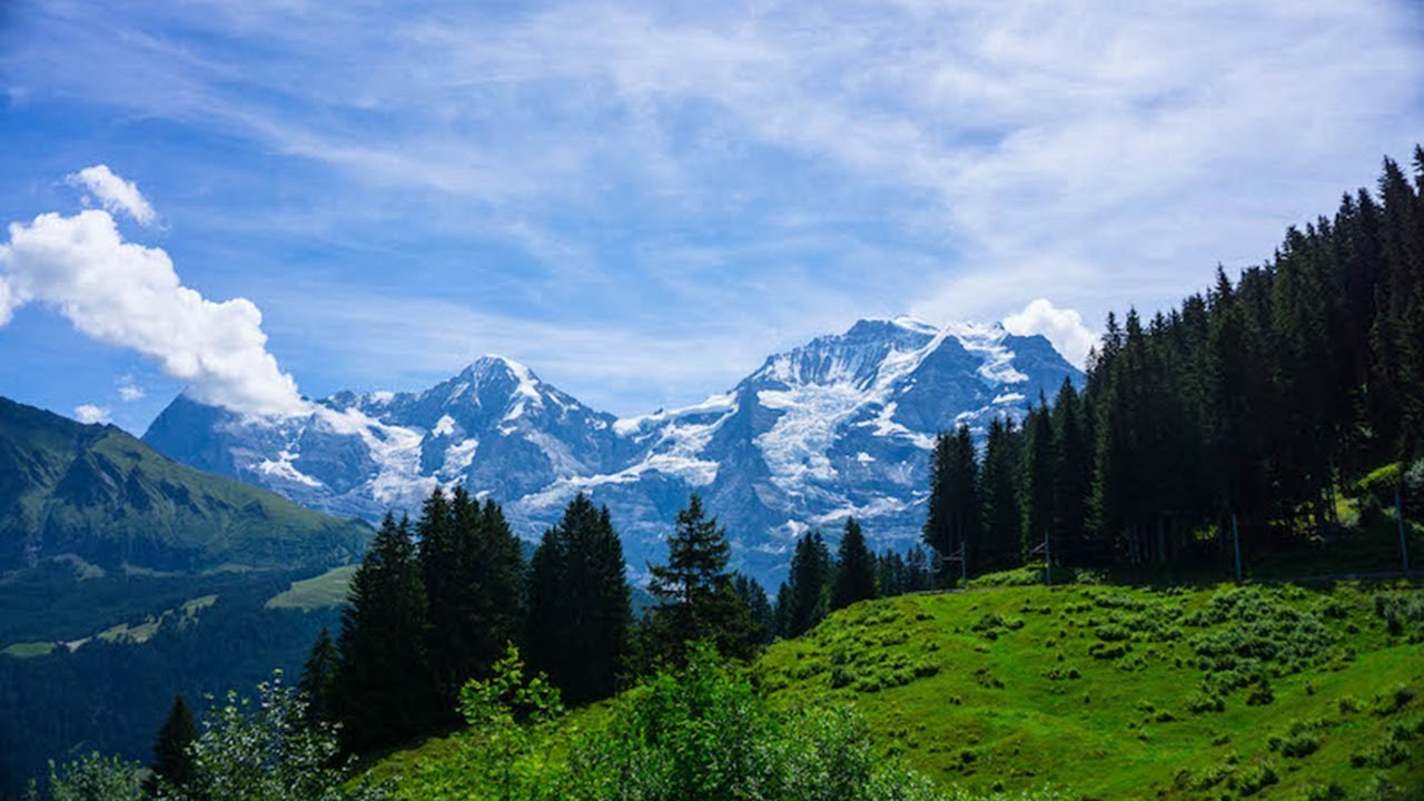 Bernese, los Alpes Suizos