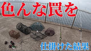 釣りの合間に色んな罠を仕掛けた結果・・・