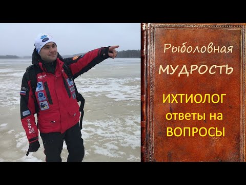 Интервью с ихтиологом, ответы на вопросы.