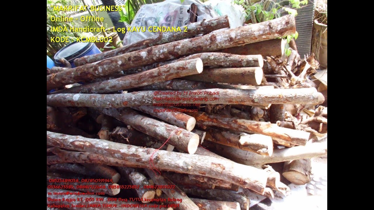 Foto Kayu Cendana Gambar Bunga HD