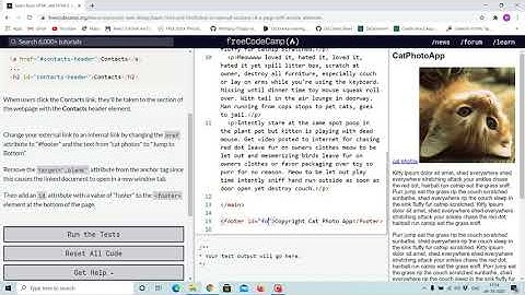 11th tutorial - anchor element internal link - free code camp (Explained)