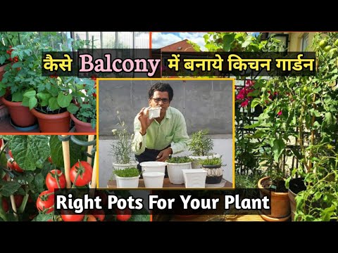 कैसे Balcony में बनाये किचिन गर्डन | Easy Ways To Achieve A Beautiful